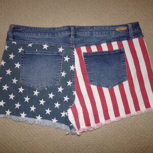 TRUE CRAFT AMERICANA FLAG SHORTS SZ 22